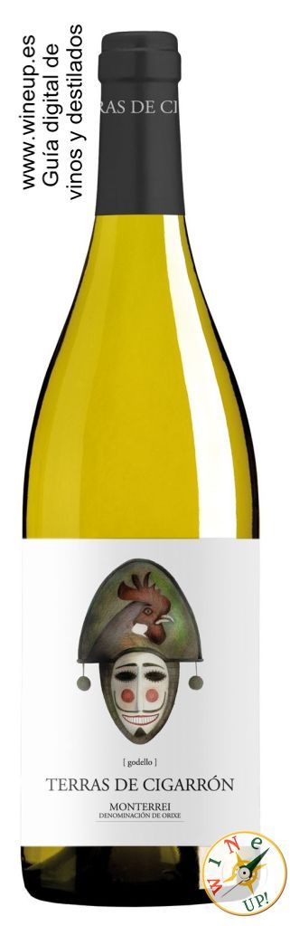 5554